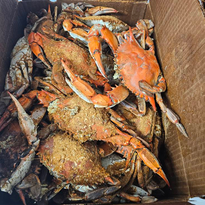 Steamed Crab MD Specials