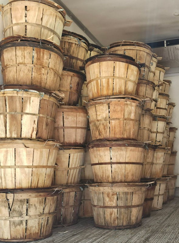 Wholesale Crabs Maryland