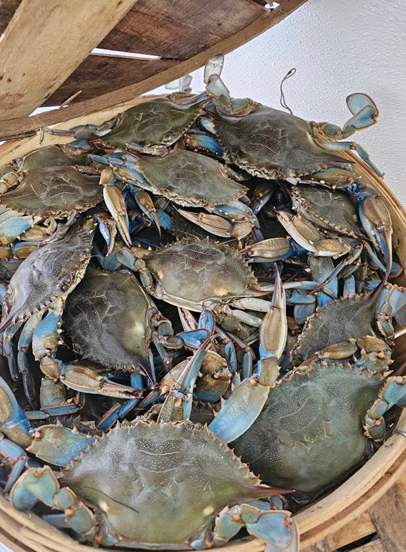 Wholesale Crabs Steamed
