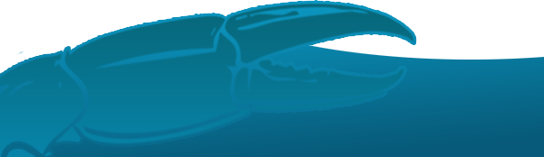 tab